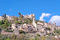 drome-1