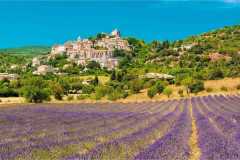 ff21d8ed2be6bb44ca22537c34ef874e-2500x1408-departements-04-alpes-de-haute-provence-simiane-la-rotonde-istock-fyletto-1358927911