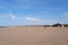 IMG-20221025-WA0050