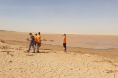 IMG-20221024-WA0002