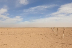 IMG-20221024-WA0003