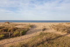 IMG-20221024-WA0015