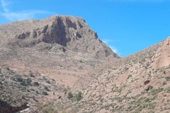 IMG-20221025-WA0000