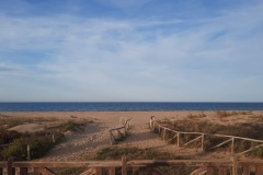 IMG-20221025-WA0001