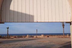 IMG-20221025-WA0002