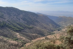 IMG-20221025-WA0006