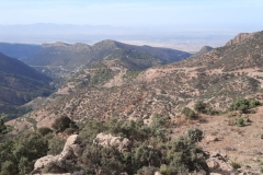 IMG-20221025-WA0007