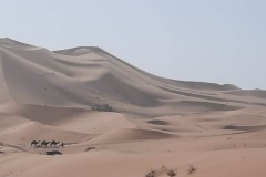 IMG-20221020-WA0019