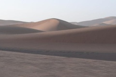 IMG-20221020-WA0022