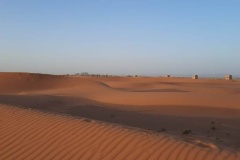 IMG-20221020-WA0023