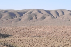 IMG-20221021-WA0006