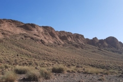 IMG-20221021-WA0007