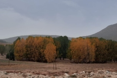 IMG-20221015-WA0033