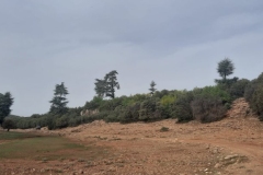 IMG-20221015-WA0034