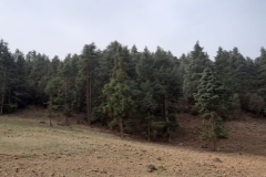 IMG-20221015-WA0035