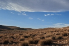 IMG-20221023-WA0004