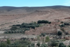 IMG-20221023-WA0005