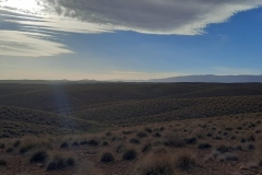 IMG-20221023-WA0016