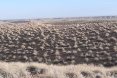 IMG-20221023-WA0017