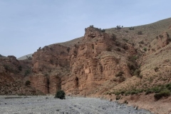 IMG-20221016-WA0005
