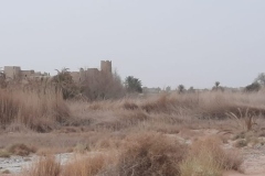IMG-20221016-WA0012