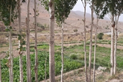 IMG-20221016-WA0015