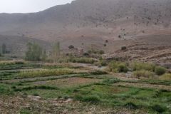 IMG-20221016-WA0016
