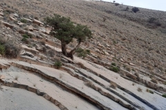IMG-20221016-WA0019