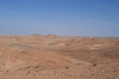 IMG-20221022-WA0011