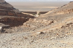 IMG-20221019-WA0006