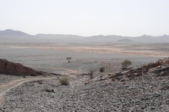 IMG-20221019-WA0015