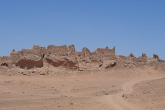 IMG-20221019-WA0016