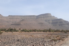 IMG-20221018-WA0013