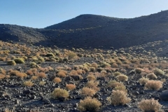 IMG-20231018-WA0035